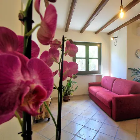 Fenile Apartment *
